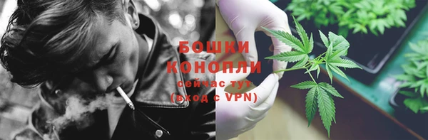 крисы Балахна
