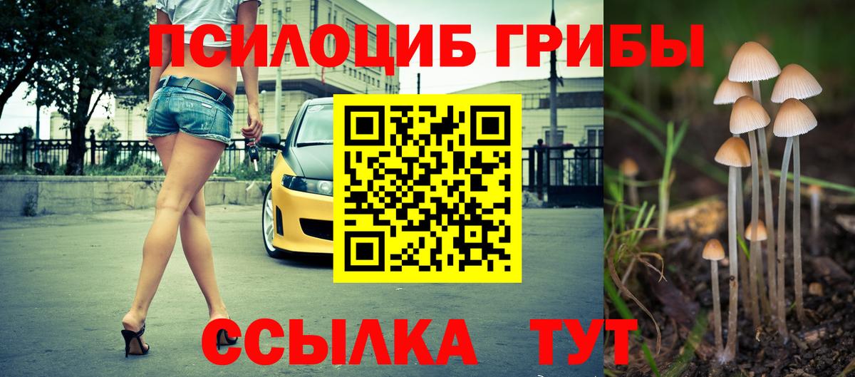 цены   Асбест  Галлюциногенные грибы мицелий 