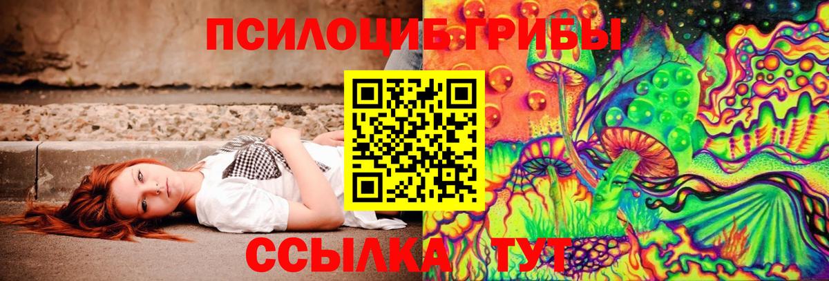 Асбест  Псилоцибиновые грибы Psilocybe  Псилоцибиновые грибы Psilocybe  Вход с VPN 