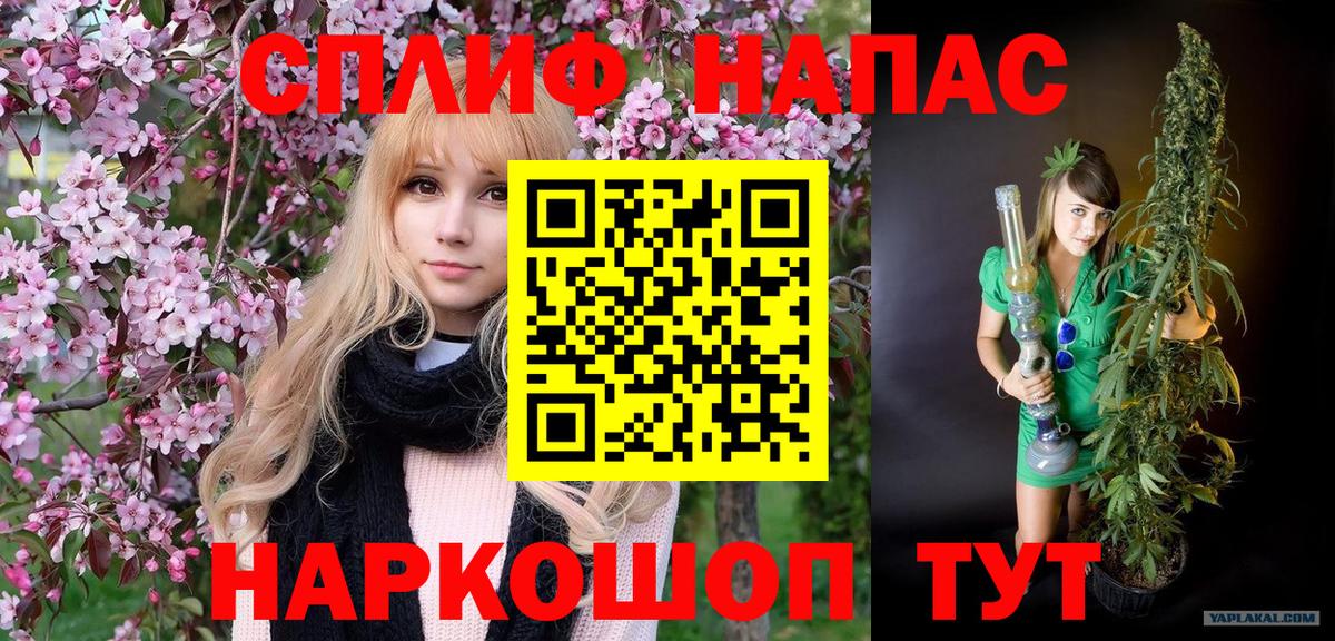 Бошки Шишки планчик Асбест